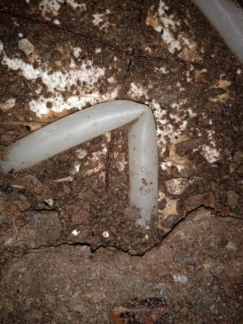 泰来堵点精准查找